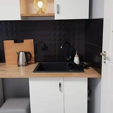 Apartment Apartament Piekny Wysoki Standarad Z Ogrodkiem *