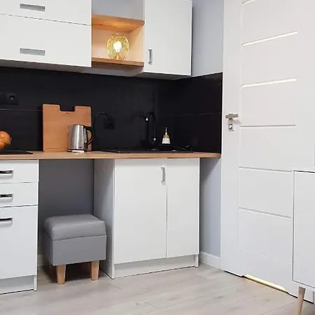 Apartament Piekny Wysoki Standarad Z Ogrodkiem Apartment Krakau