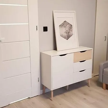 Apartment Apartament Piekny Wysoki Standarad Z Ogrodkiem Krakow